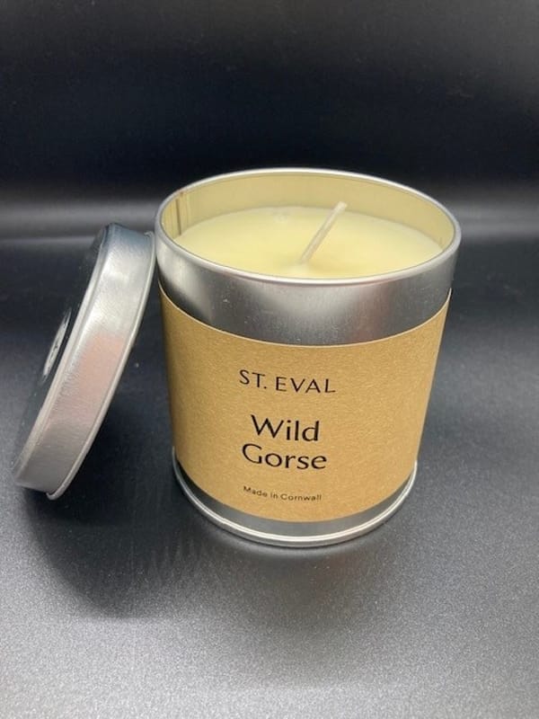 Wild Gorse Tin Candle from St Eval