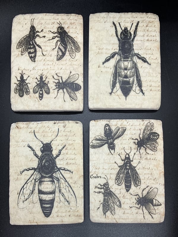 Set of Four Coasters - Image 2
